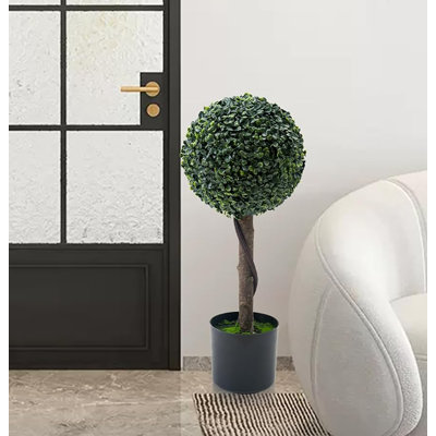 24cm Milan Ball Plant