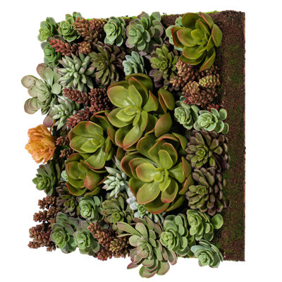 Arrangement floral succulent
