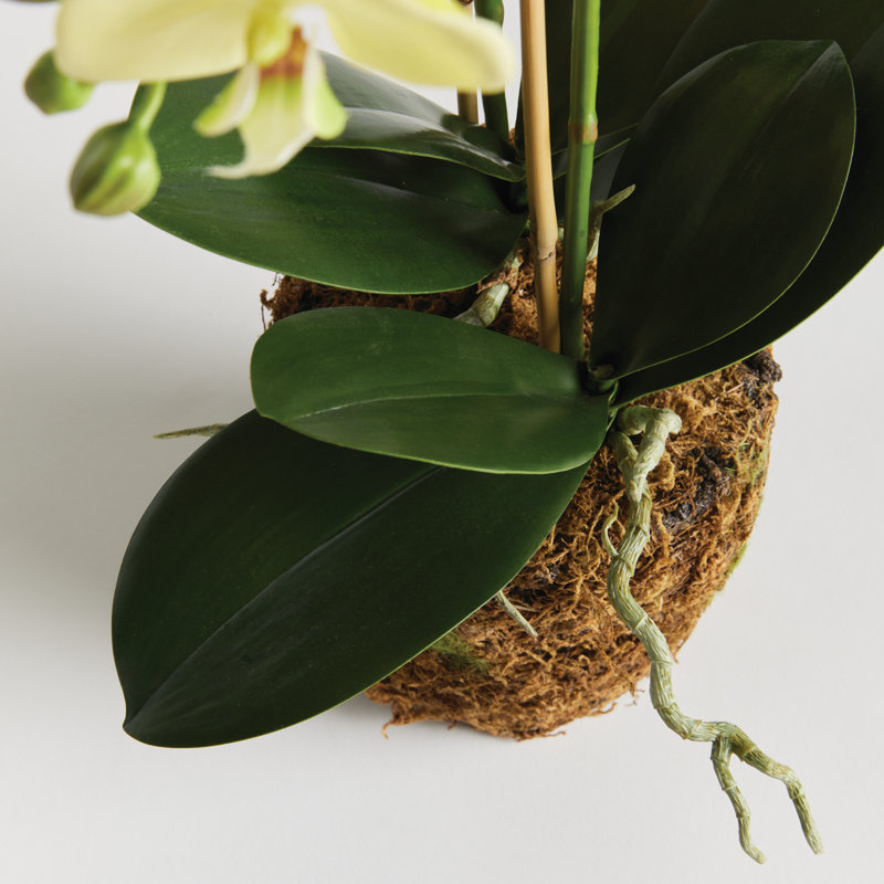 Orchid Faux Floral