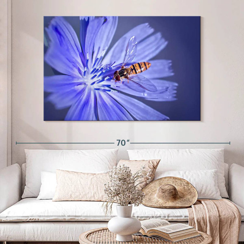Bee On Chicory Flower, 34" H x 51" W