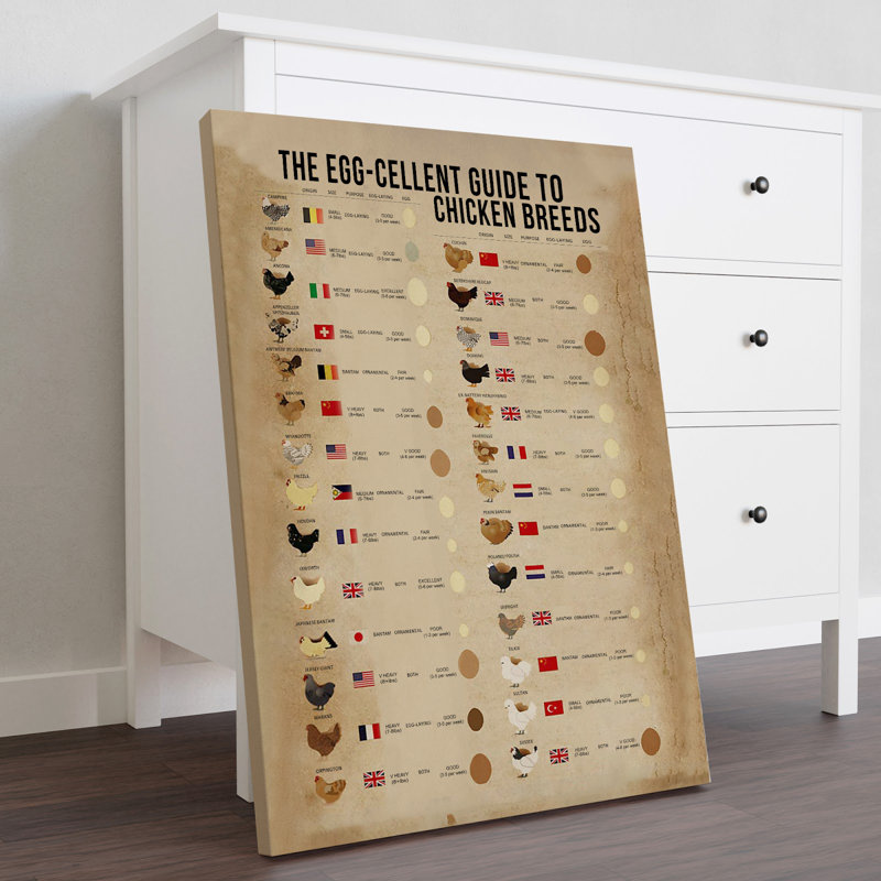 Toile tendue avec châssis The Egg-Cellent Guide To Chicken Breeds, H 14 po x l 11 po x P 2 po