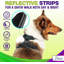 Ensemble de marche et laisse Katziela-98331656-98331651