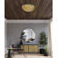 Eclectic 3 Light Gold Petal Flush Mount-290405616