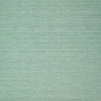 Indoor Rug