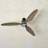 Brielle 60" Wayne LED Standard Ceiling Fan with Pull Chain and Light Kit Included-1965902596