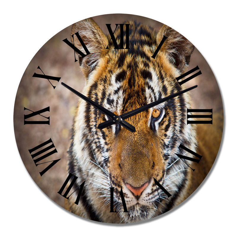 Portrait d'un tigre sauvage - Horloge murale traditionnelle, Moyenne
