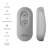 Ceiling Fan Remotes & Wall Controls