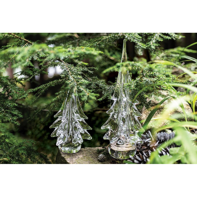 Spruce Evergreen, 10 inch