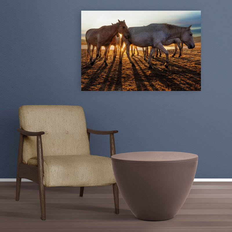 «Wild Wildes Golden Hour Serene Contemporary Horse Nature Sunrise», art mural