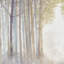 3 Wall Art - Forest With Texture And Hanging Elements Canvas Serene Scene Options