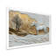 Kleier - Animals Wall Art-2123438610-2123438617-2123438622