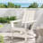 Adirondack Chair-1703076017