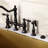 Trimscape Garbage Disposal Air Switch