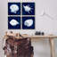 «Traditional Cyanorph Shells» par Paul Brent - ensemble de 4 impressions sur bois-1063715110-1063715160