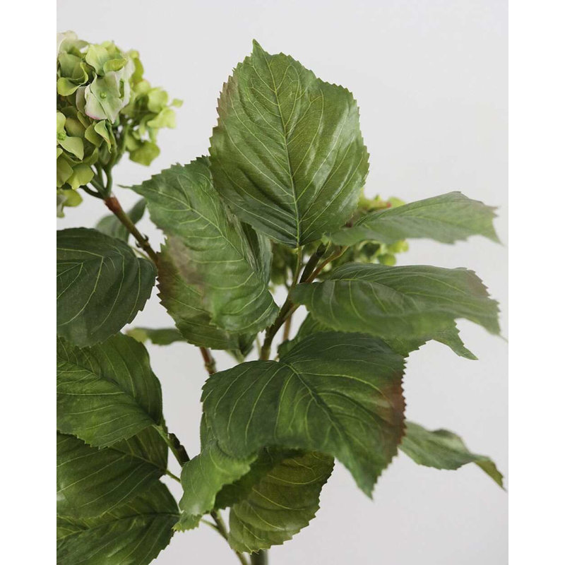 Green Double Hydrangea 36", Blue/Purple