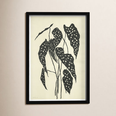 Begonia Print by Susan Hable