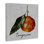 Art mural rétro sur toile de tangerine par Regina Moore