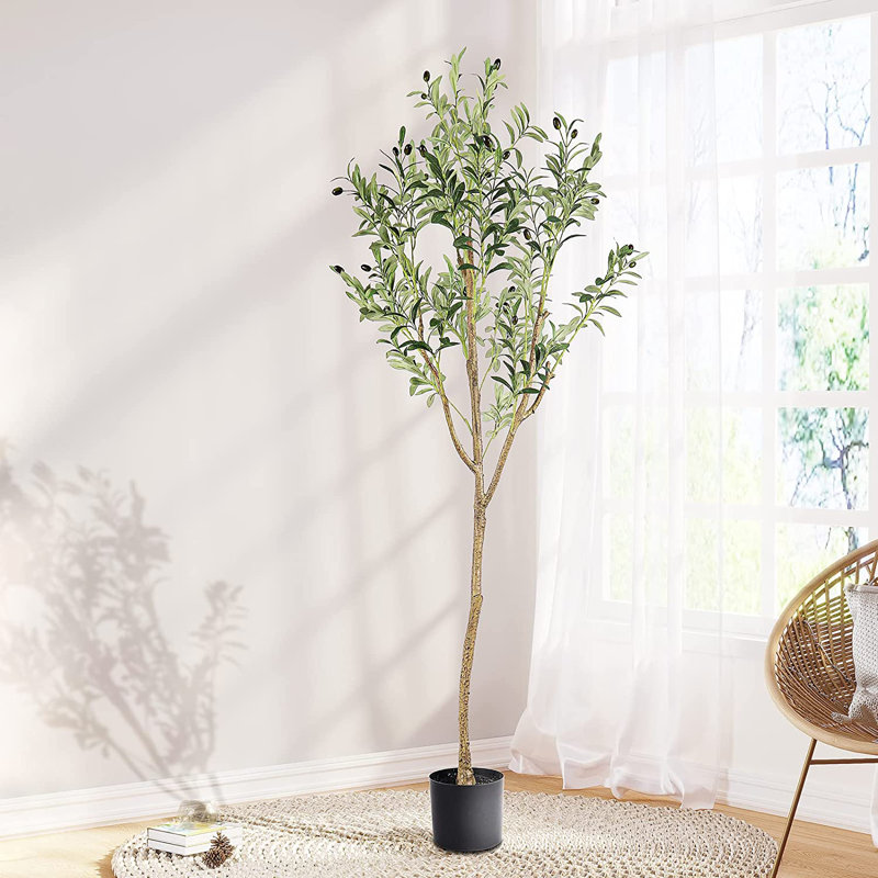 Faux Fiddle Leaf Fig Tree Plant in Cement Pot, 170cm H x 80cm W x 80cm D