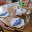 Laquer Novelty Placemat-667712432-667712435