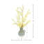 Blanched Eucalyptus Arrangement in Ceramic Jug