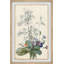 "Un bouquet de fleurs avec des insectes", reproduction encadrée-58662646