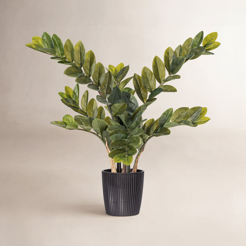 Buisson artificiel zamifolia zen vert en pot, H 28 po x l 16 po x P 16 po