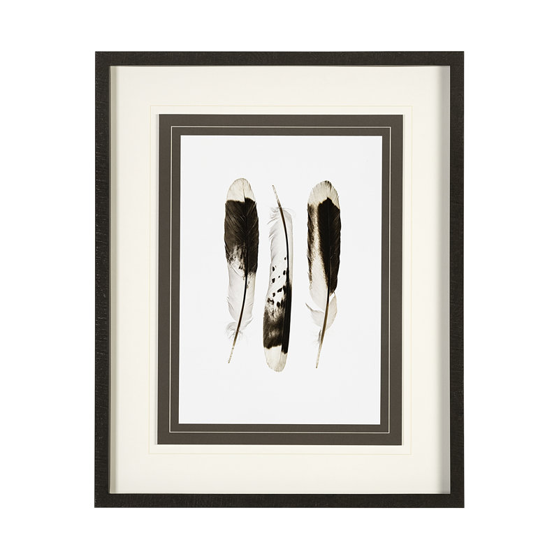 «Feathered Friends» par Nancy Crowell, reproduction d'art encadrée sous verre, Flock Together