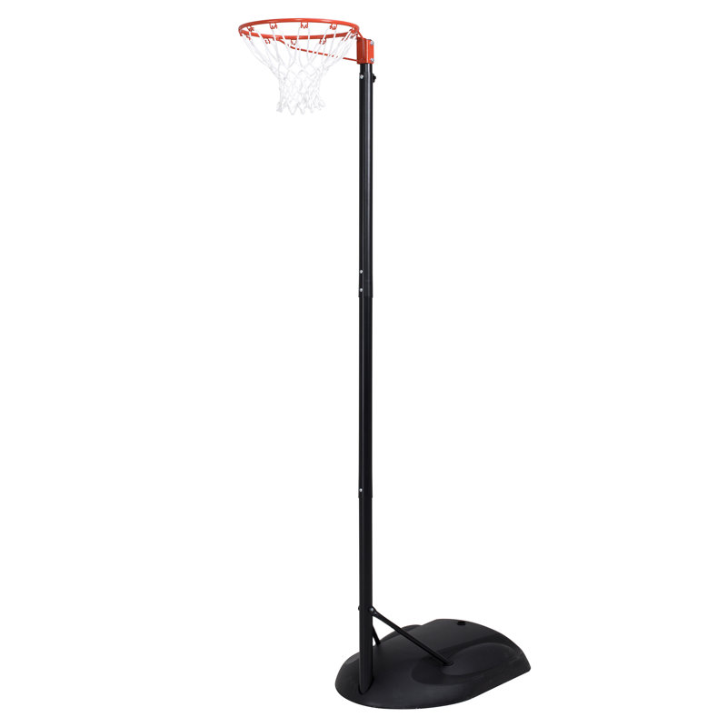 Lifetime Netball