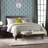 Angiens Rug-19257852