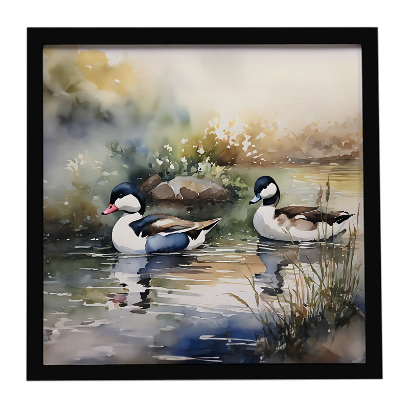 Bufflehead Framed Metal Print