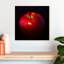 Pomme rouge brillante Yarlin-109358139