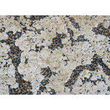 Safari Animal Print Area Rug