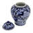Sarsfield Ginger Jar 1