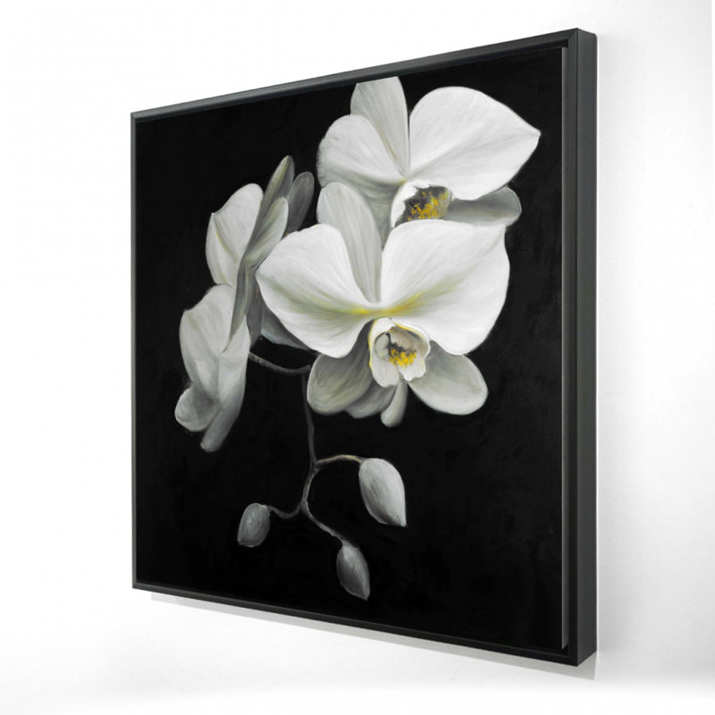 "Orchidées blanches"