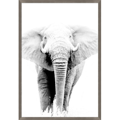 Wild Calling 2 par Thom Filicia - Photographie encadrée sur papier