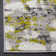 Strasser Performance Abstract Rug