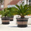 Pots à fleurs-1501799126-1501799125