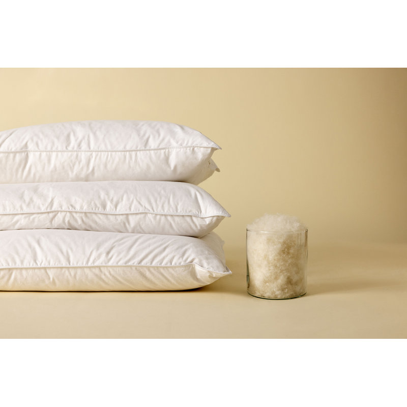 Home Range Duck Feather Soft Pillow Pair
