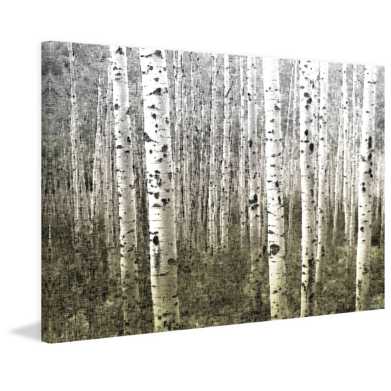 « aspen highlands » par parvez taj,, reproduction de photo sur toile tendue, 24 po x 36 po