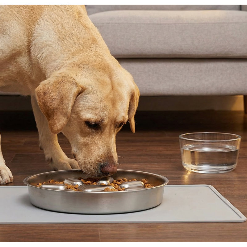 Bol pour chien à alimentation lente en acier inoxydable avec tapis antidérapant, 2 tasses, pour les mangeurs rapides, anti-déglutition, va au lave-vaisselle