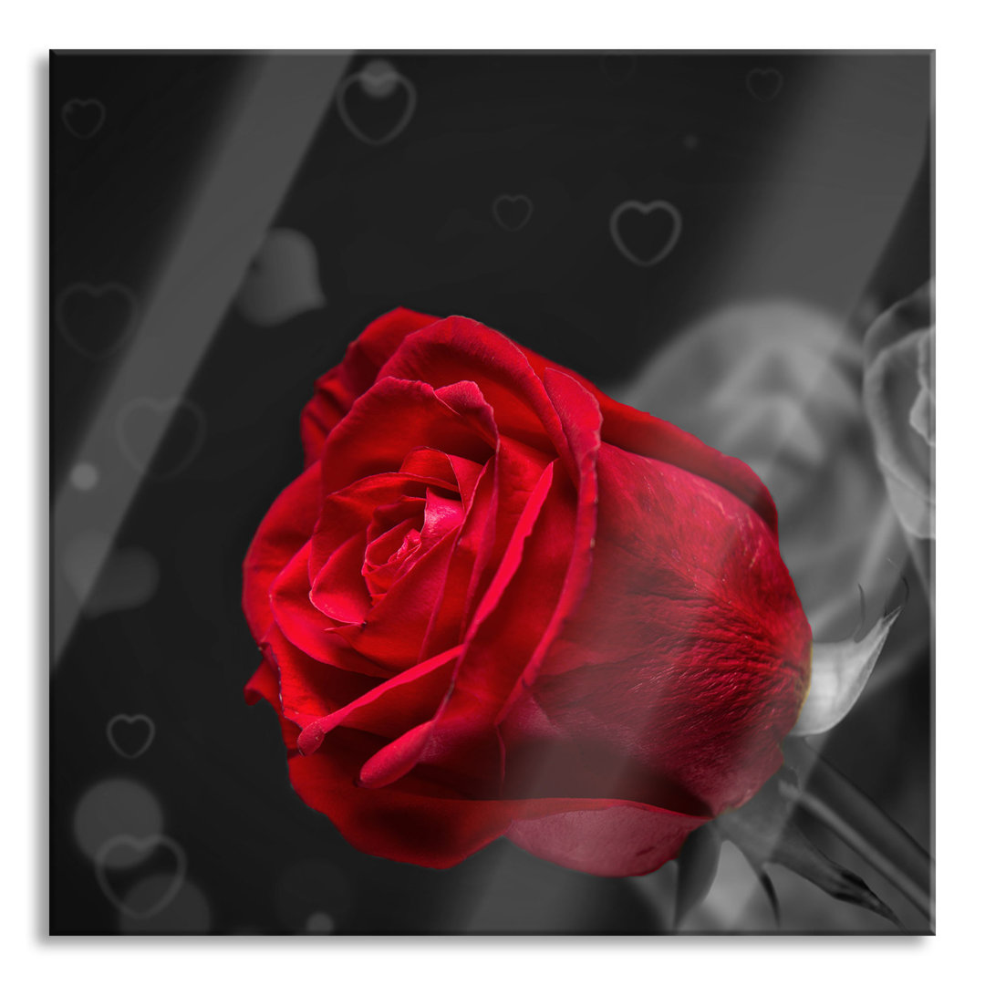 Glasbild Rote Rosen zum Valentinstag