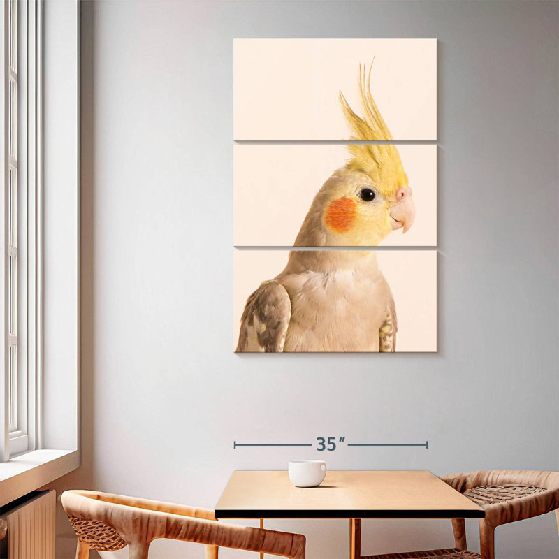 Brampt Smiling Cockatiel