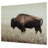 Brutus Wrapped Canvas Print