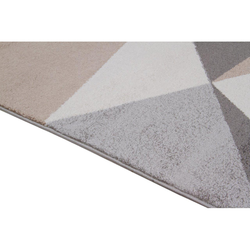 Decoste Geometric Area Rug, Rectangle 160 x 230cm