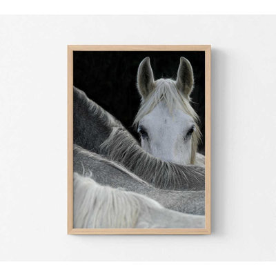 Reproduction de photo de cheval - force tranquille, décor moderne