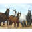 Blue Horses in Meadow Rustic Braided Placemat | Home Decor