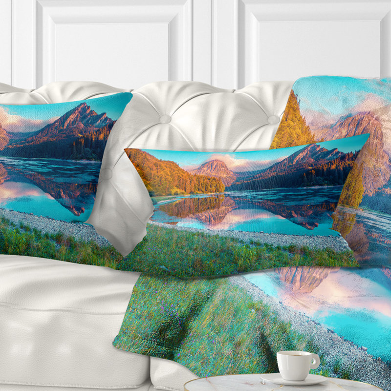 Throw Pillow