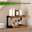 Organisateur de tablette de comptoir, étagère à épices à 2 niveaux pour comptoir, brun, café, station, organisateur de sirop pour comptoir, tablette pour bureau