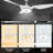 Amonii 56'' Ceiling Fan with LED Lights-311854955
