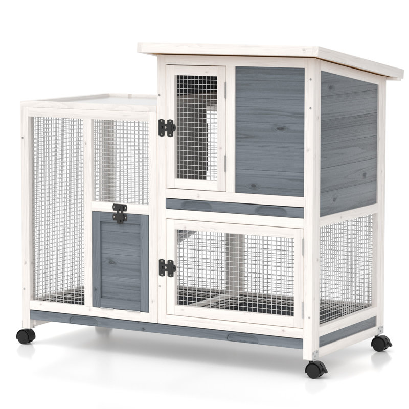 Poulailler en bois, Gris / blanc naturel